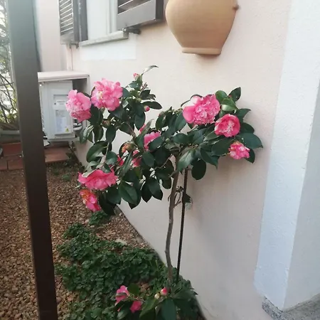 度假居 Domus Eleonora A Due Passi Dal Mare 阿兰奇湾城