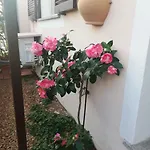 Casa vacanze Domus Eleonora A Due Passi Dal Mare Golfo Aranci