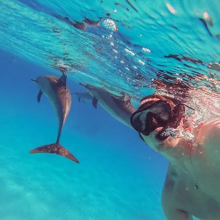 Semesterbostad Domus Eleonora A Due Passi Dal Mare Golfo Aranci
